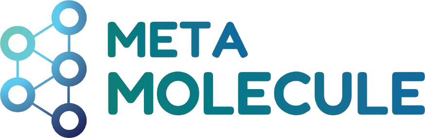 Meta Molecule